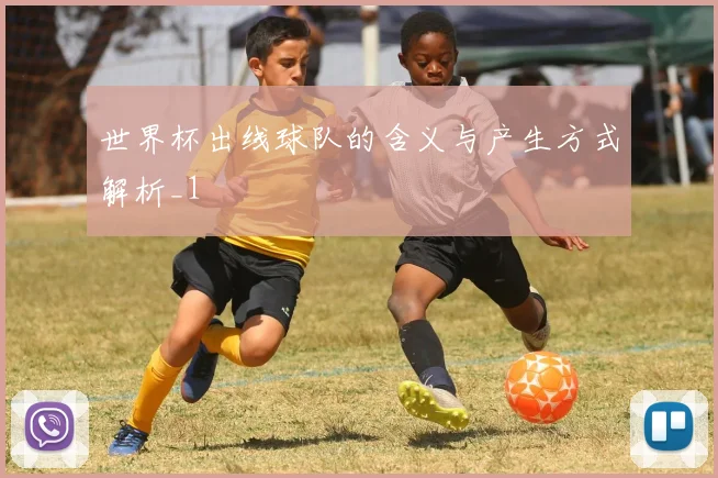 世界杯出线球队的含义与产生方式解析_1