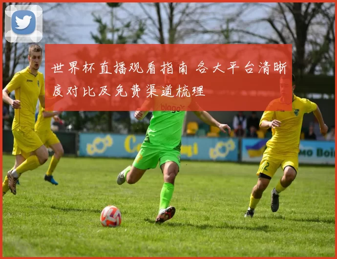 世界杯直播观看指南 各大平台清晰度对比及免费渠道梳理