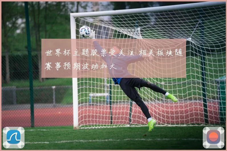 世界杯主题股票受关注 相关板块随赛事预期波动加大